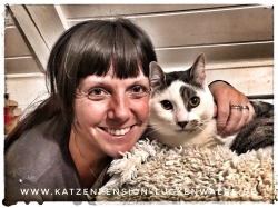Betreuung Ihrer Katze Im Urlaub in ihrer Region Potsdam Drewitz - IMG 7178 min - KATZENHAUS - KATZENPENSION - TIERHOTEL - KATZEN TIERHEIM - TIERSITTER