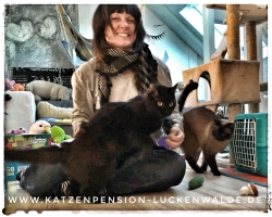 Betreuung Ihrer Katze Im Urlaub in ihrer Region Falkenberg - IMG 7610 min - KATZENHAUS - KATZENPENSION - TIERHOTEL - KATZEN TIERHEIM - TIERSITTER