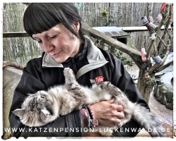 Betreuung Ihrer Katze Im Urlaub in ihrer Region Bad Belzig - IMG 8112 min - KATZENHAUS - KATZENPENSION - TIERHOTEL - KATZEN TIERHEIM - TIERSITTER
