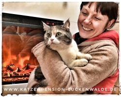 Betreuung Katze Im Urlaub  in ihrer Region Teltow - IMG 8245 min - KATZENHAUS - KATZENPENSION - TIERHOTEL - KATZEN TIERHEIM - TIERSITTER