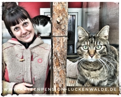 Betreuung Ihrer Katze Im Urlaub in ihrer Region Berlin Heiligensee - IMG 8700 min - KATZENHAUS - KATZENPENSION - TIERHOTEL - KATZEN TIERHEIM - TIERSITTER